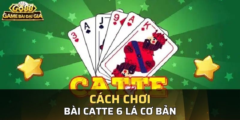 Các luật chơi bài catte 6 lá bạn cần biết