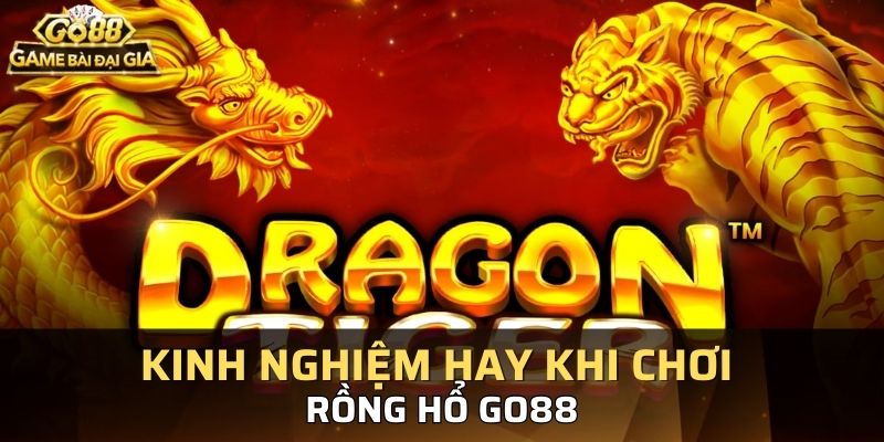 Bật mí bí kíp chơi rồng hổ Go88 hay