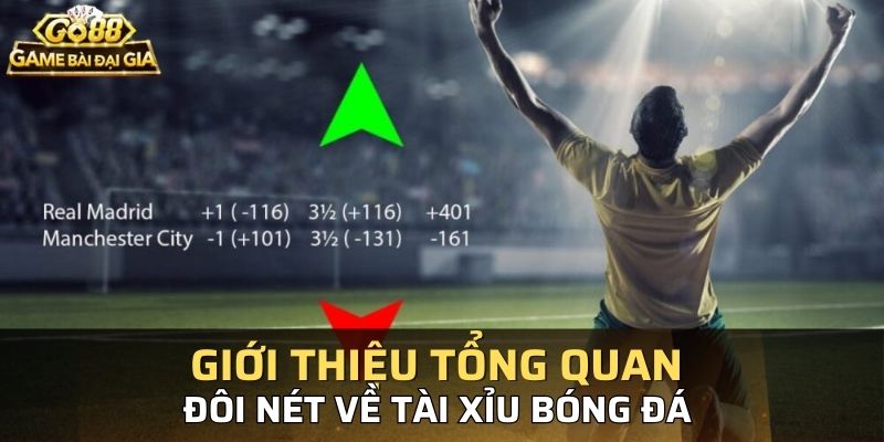Giới thiệu tổng quan đôi nét về tài xỉu bóng đá