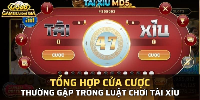 Tổng hợp cửa cược thường gặp trong luật chơi tài xỉu